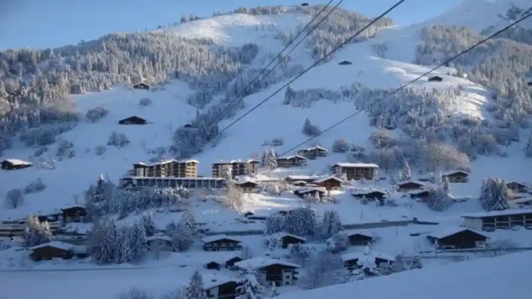 La Clusaz Locations - Chalet Ecaille d'Argent - Chalet Fleurs des Alpes - au pied des pistes